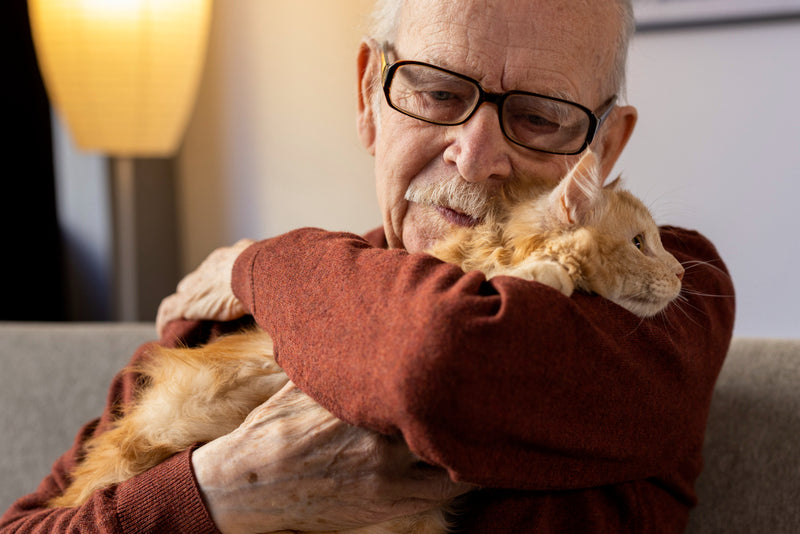 Caring for Your Aging Companion: Understanding the Unique Needs of Older Pets