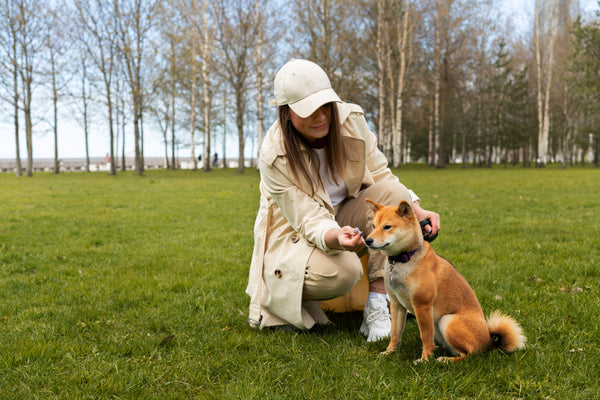 Pawsitive Therapy: The Benefits of Pet Ownership for Mental Health