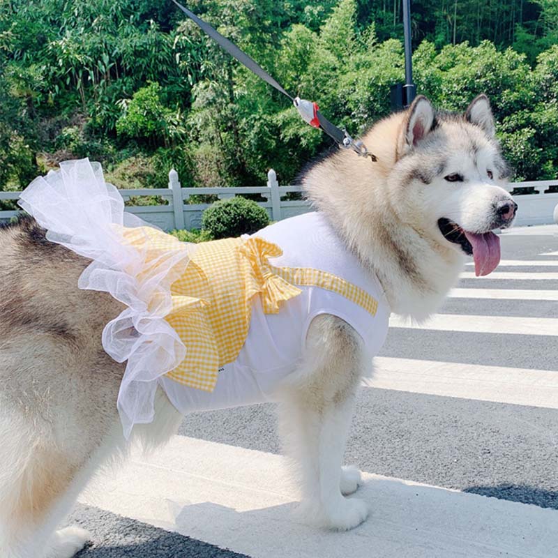 Princess Dog Costume Labrador Golden Retriever Clothes