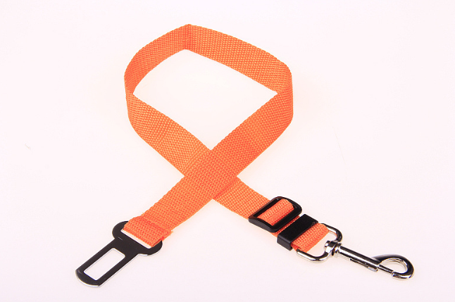 Dog Fixed Strap Polyester Strap Leash