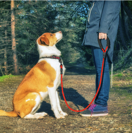 Pet Reflective Nylon Dog Leash Rope