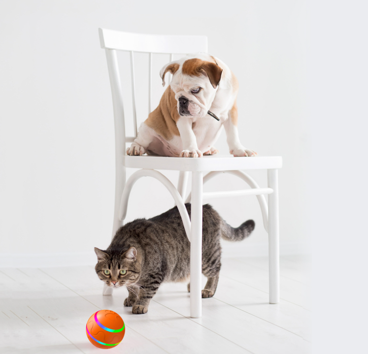 Pet New Cat Wicked Ball Toy Intelligent