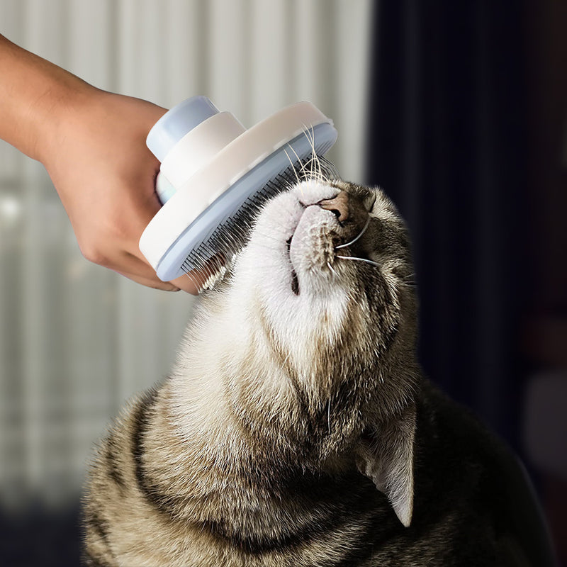 Cat Grooming Pet Hair Remover Brush Short Massager